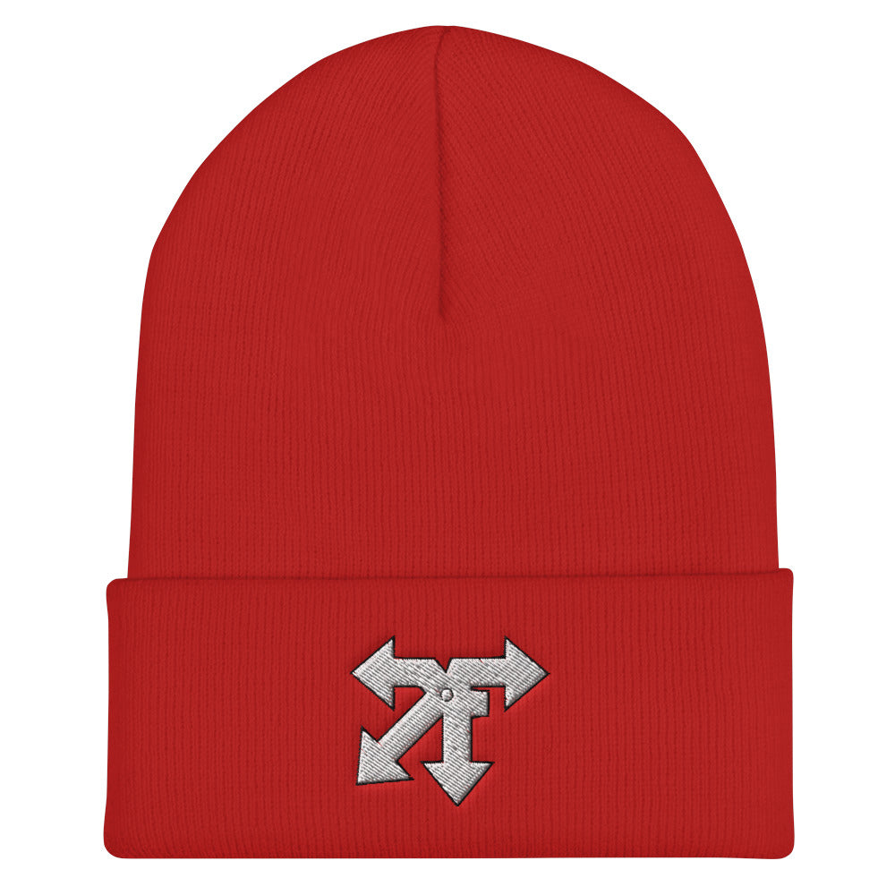 Cuffed Beanie