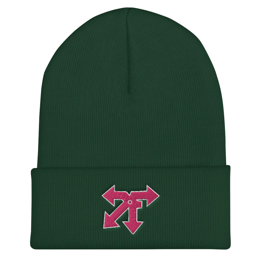 Cuffed Beanie
